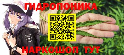 эйфоретик Краснознаменск