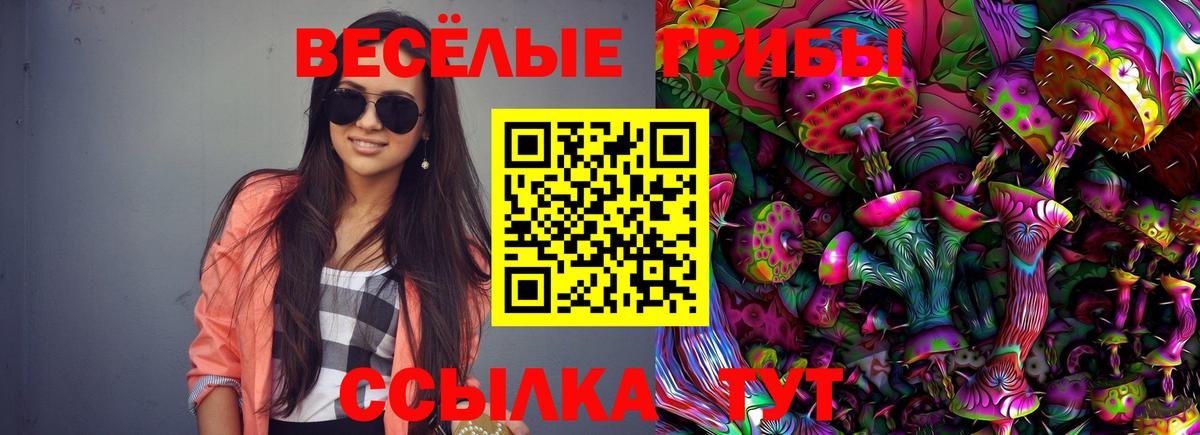 Галлюциногенные грибы Psilocybine cubensis Уссурийск
